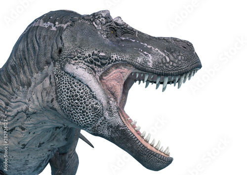 Tyrannosaurus Rex close up side view