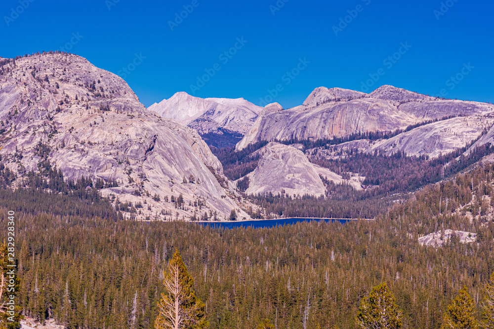 Yosemite National Park Tioga Pass