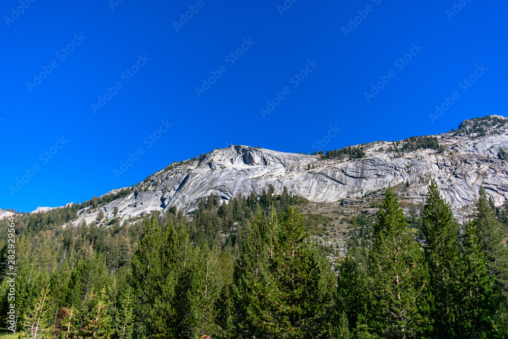 Yosemite Landscape Tioga Pass California