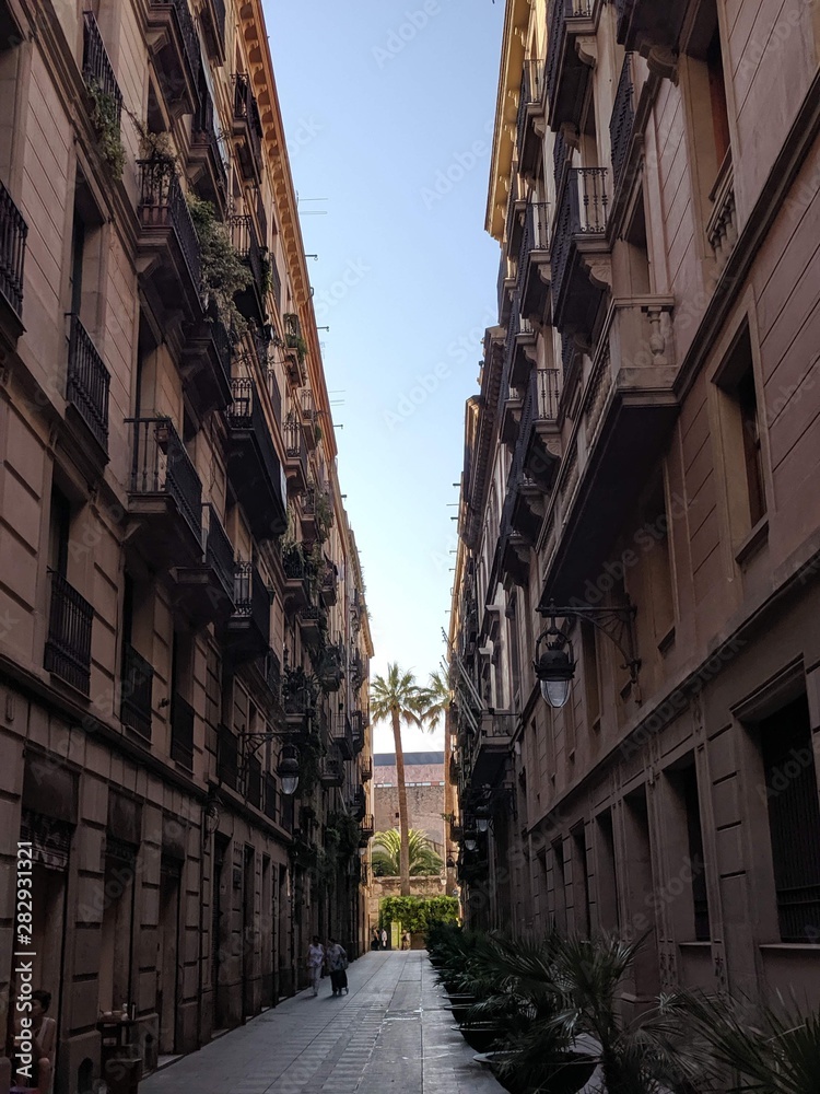 street in the city center of Barcelona in spain palm trees