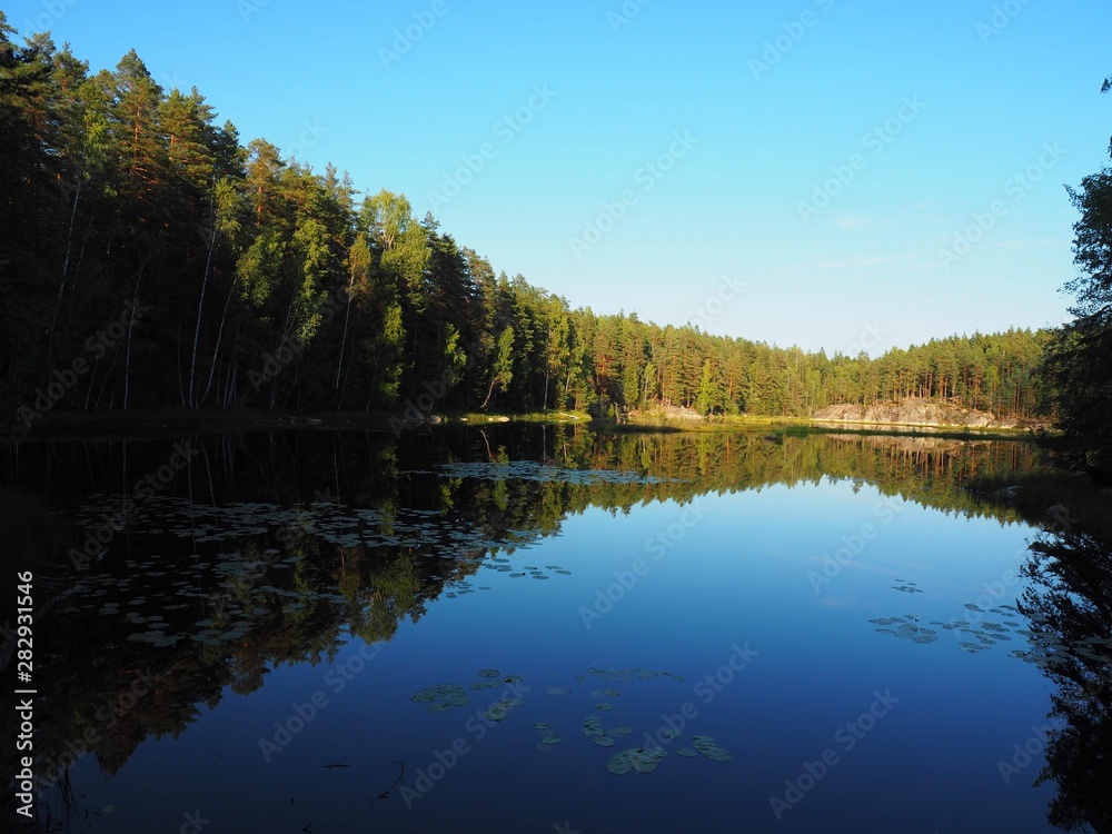 reflection of trees in lake with vlue sky in Spring reflection of trees in lake with vlue sky in Spring