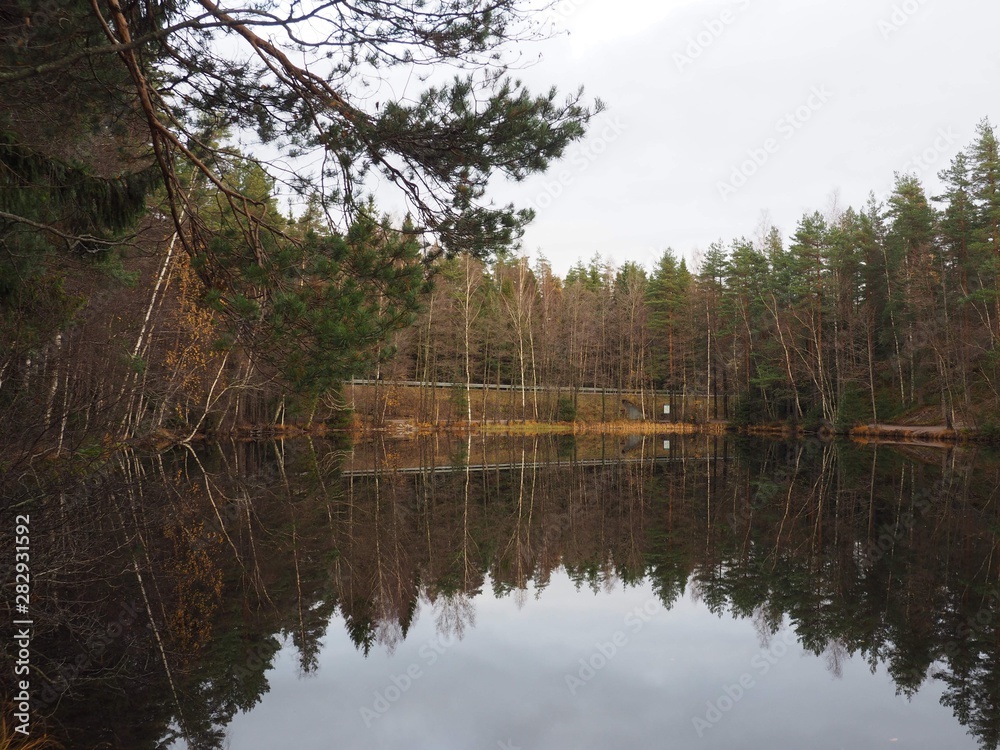 Fototapeta premium reflection of trees in water in Autumn in a Park
