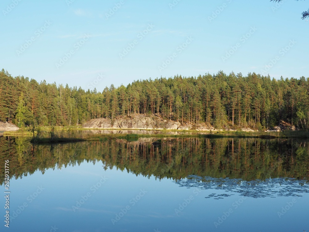 lake in forest with the reflexion on the trees in Spring with a blue sky