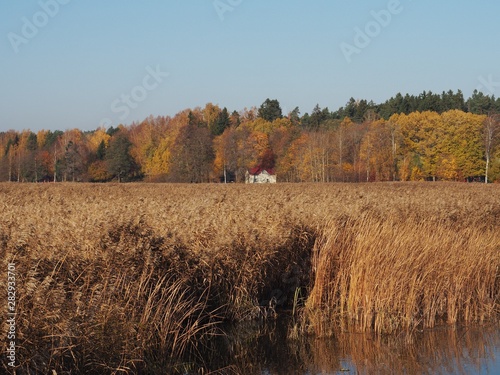 autumn landscape with river and trees Finland countryside Porvoo