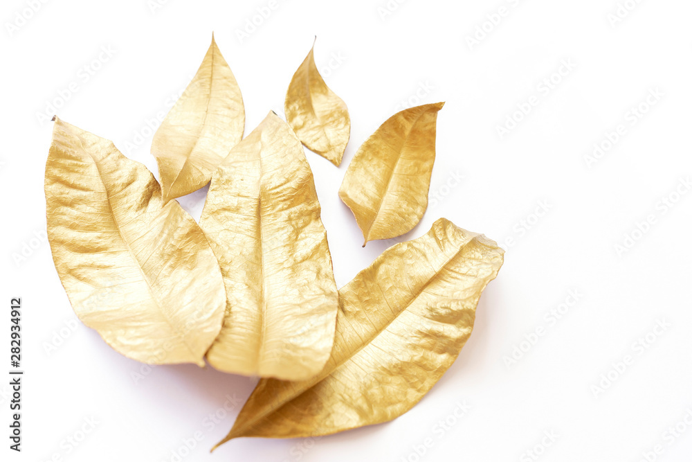 Golden dry laurel leaves isolated on white background. Flat lay, top view minimal concept. Copy space. Autumn fall vibes. Christmas decor design element. Botany herbarium