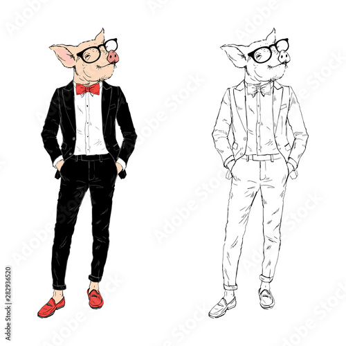 Pig gentleman dressed up in tuxedo. Anthropomorphic Animal zodiac sign character. Chinese New Year