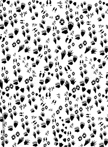 animal footprints background, monochrome pattern of paws of animals and birds. black and white