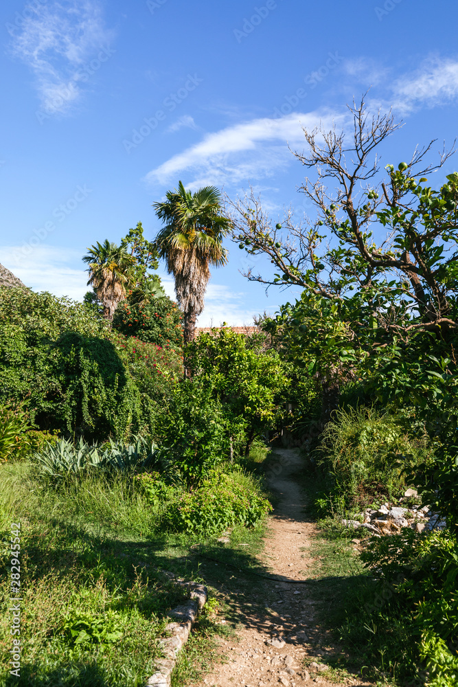 The botanical garden Arboretum in Trsteno, Dubrovnik, Croatia.