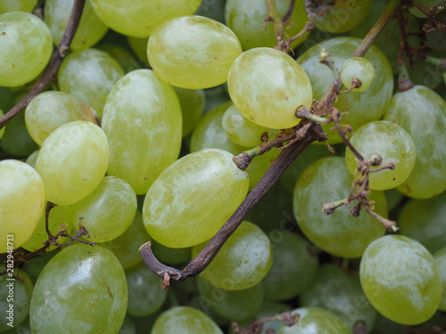 white grape fruit food