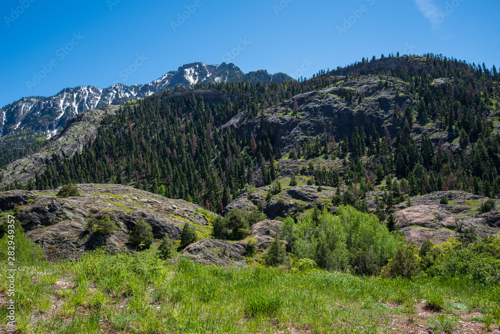 Landscape of mountains and trees near Ouray, Colorado on the Million Dollar Highway