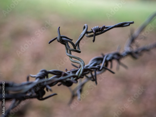 barbed wire in front of blurred green background