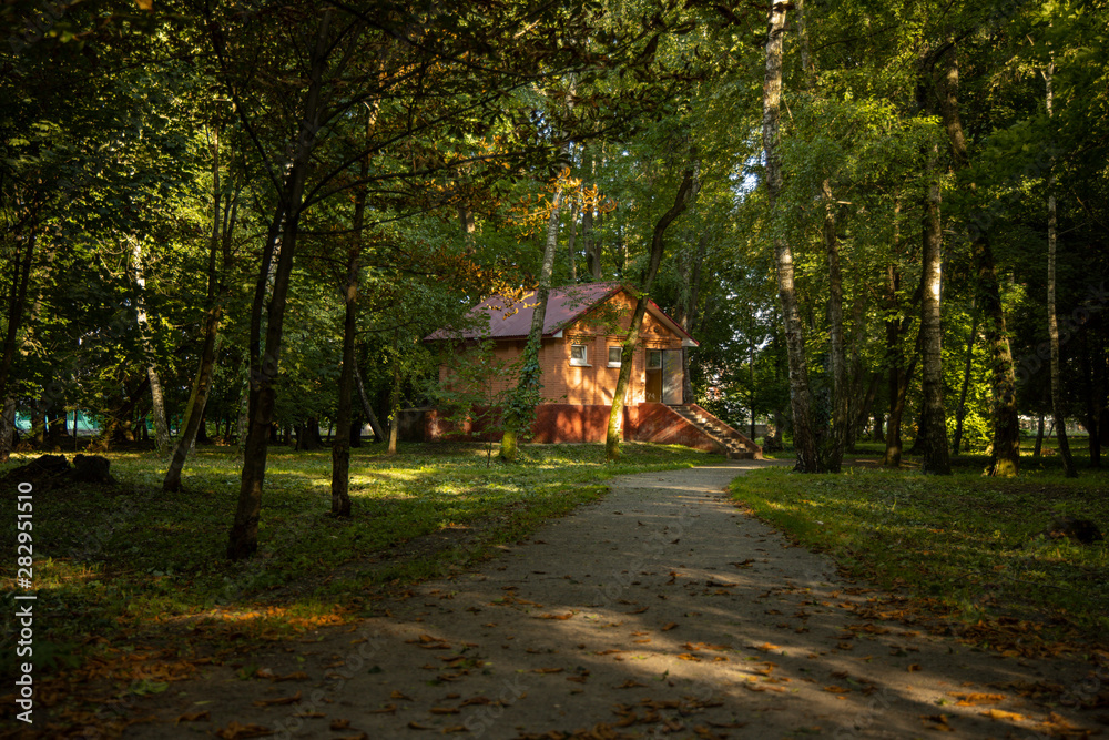 rustic brick country side lonely house in forest scenery landscape North European natural environment with ground trails to entrance door between trees under early autumn sun light rustic brick country side lonely house in forest scenery landscape North European natural environment with ground trails to entrance door between trees under early autumn sun light