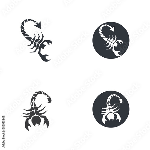 Scorpion logo template vector