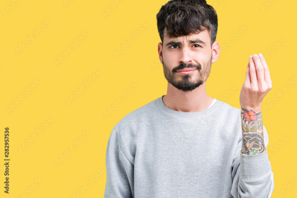 Young handsome man wearing sweatshirt over isolated background Doing Italian gesture with hand and fingers confident expression Young handsome man wearing sweatshirt over isolated background Doing Italian gesture with hand and fingers confident expression