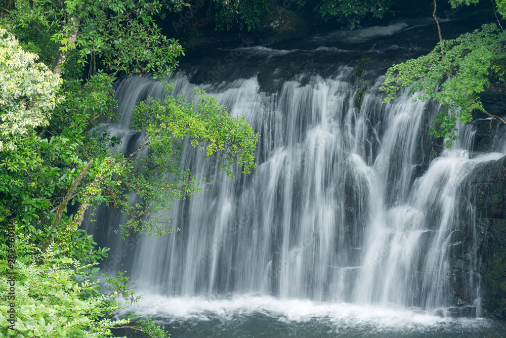 Fototapeta premium Wodospad Minamiei z zielonymi drzewami