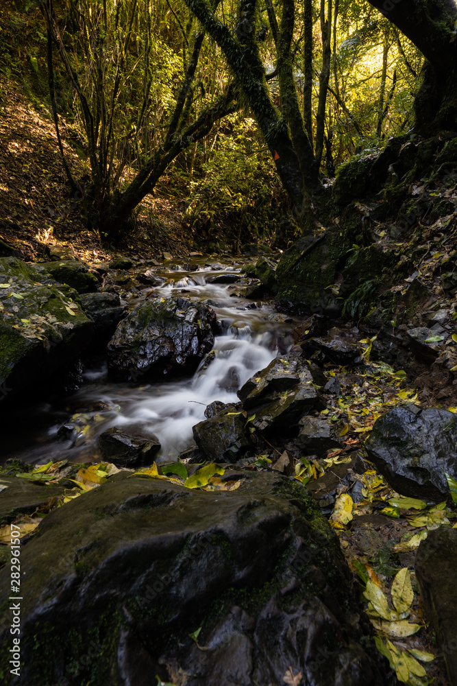 River in the Wellington Region, New Zealand