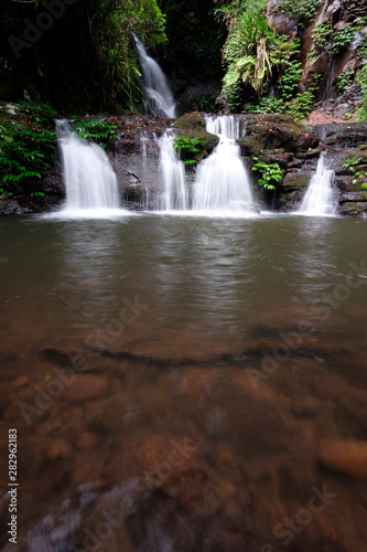 Elabana Falls flowing in the Lamington National Park with Lush greenery and leaves