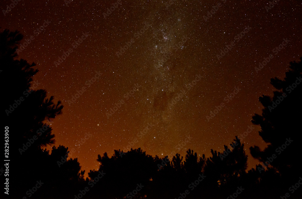 Starry night sky with milky way in the forest