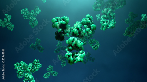 Antibodies protect against microbes photo