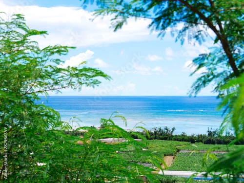 沖縄の風景 © HOWOW!