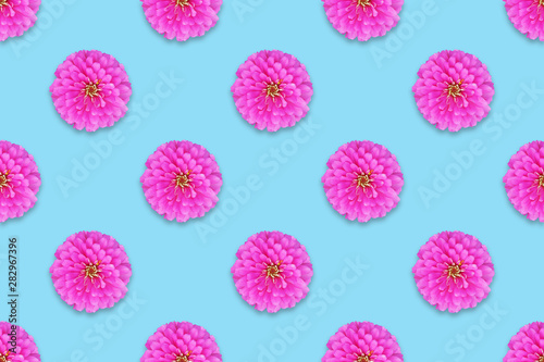 pink zinnia flower top view  on pastel background, seamless pattern © Ratana21