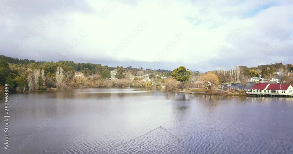 Drone shot over lake with duck and trees in 4K Drone shot over lake with duck and trees in 4K