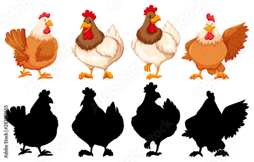 Silhouette, color and outline version of chickens
