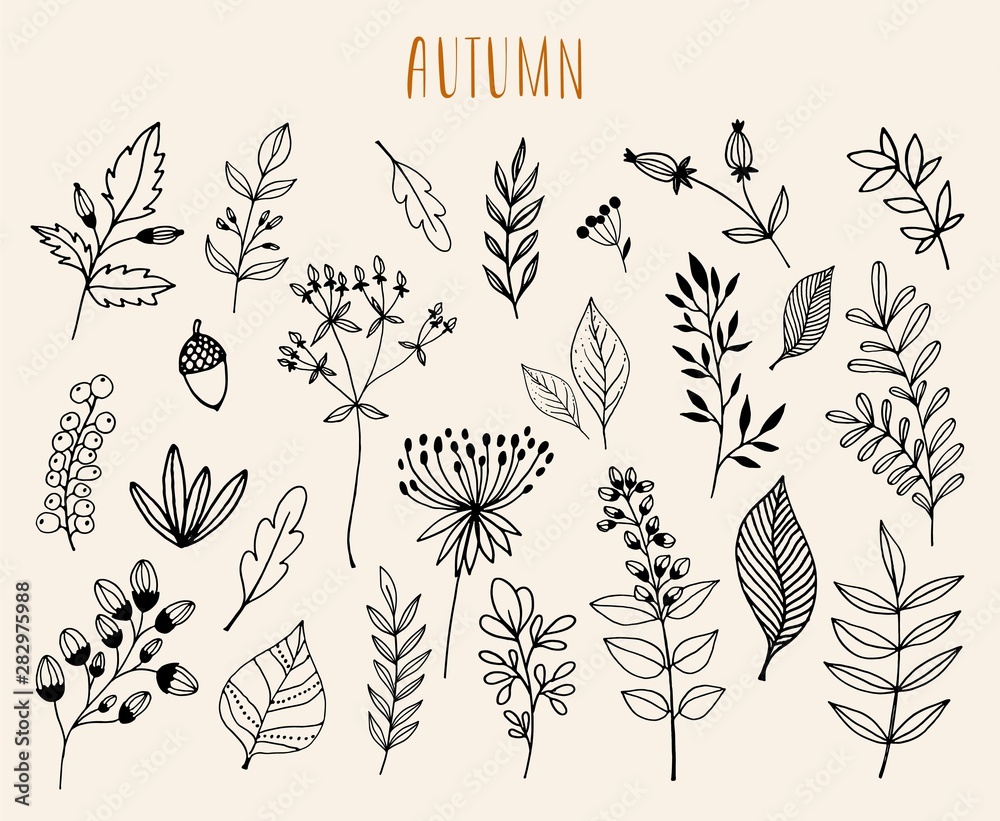 Hand drawn autumn  collection with seasonal plants and leaves - obrazy, fototapety, plakaty 
