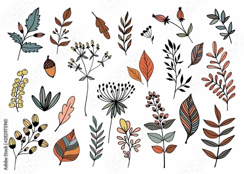 Hand drawn collection with different seasonal plants, isolated, vector design