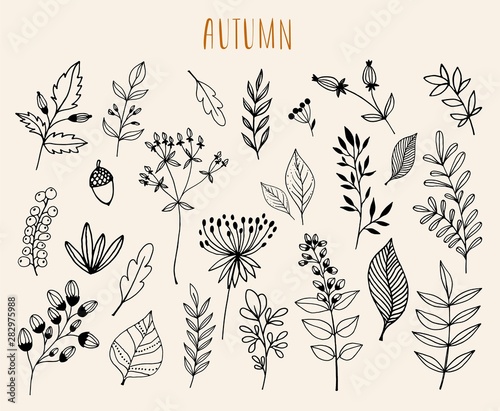 Hand drawn autumn  collection with seasonal plants and leaves