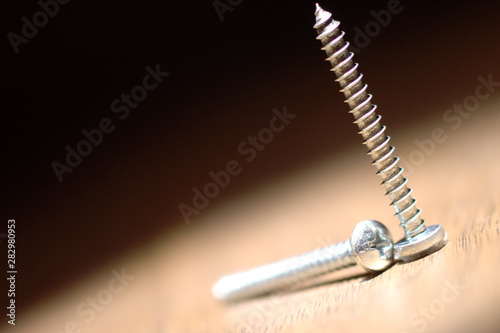 Close up of two long neck screws. One standing the other laying down.