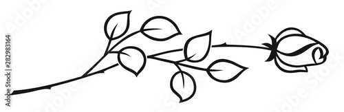 Rose0908a