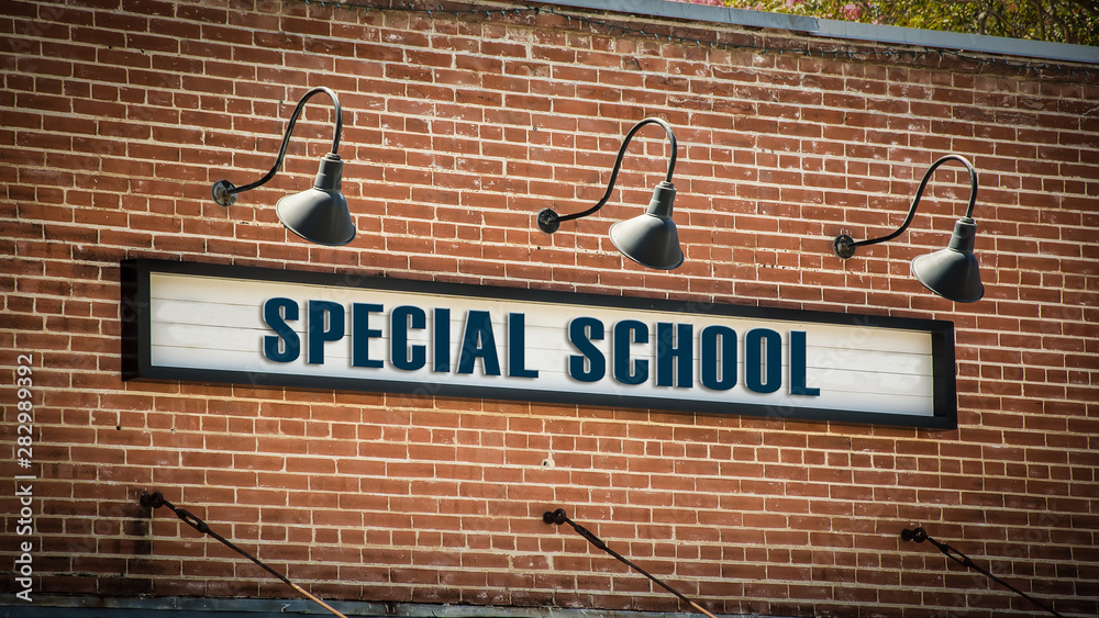 Obraz premium Street Sign SPECIAL SCHOOL