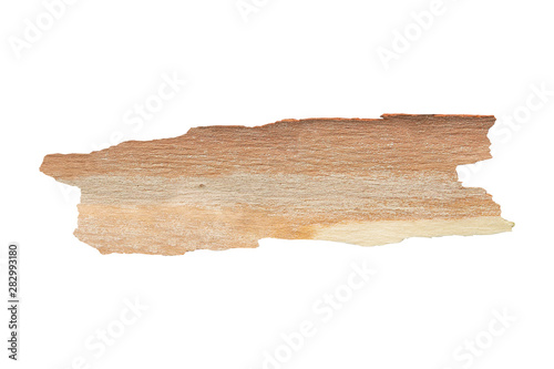 Eucalyptus bark isolated on white with clipping path