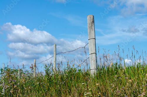 Wooden farm fence in rural Manitoba