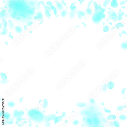 Turquoise flower petals falling down. Positive rom