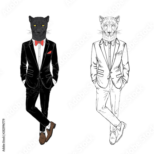 Panther man dressed up in tuxedo. Anthropomorphic fashion wild cat animal illustration. Hipster Black Leopard.