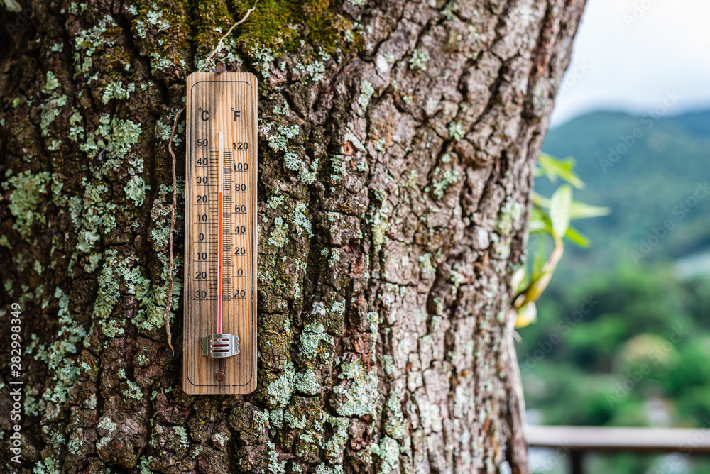 Red mercury thermometer hanging at the tree show outdoor temperature in  lovely day. Stock Photo | Adobe Stock