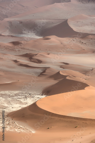 Fototapeta Naklejka Na Ścianę i Meble -  Orange and red-brown sand dunes near Deadvlei in the Namib-Naukluft National Park, Namibia