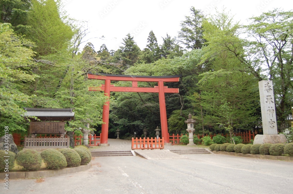 Obraz premium 香取神宮の鳥居