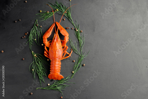 lobster with green dill  and dry pepper on black background top view