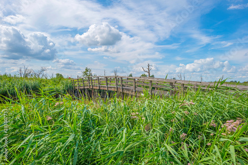 Wooden bridge over a canal in the countryside below a blue cloudy sky in sunlight in summer