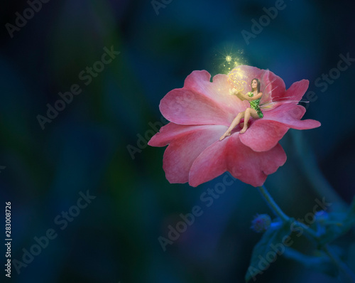 Vászonkép Fairy on the pink flower going magic