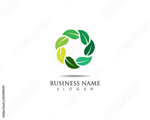 Green leaf  logo template design nature ecology