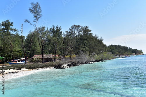 Fototapeta Naklejka Na Ścianę i Meble -  Mangrove trees and boats on the sea shore in Gili Meno Island, Lombok, Indonesia