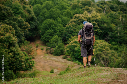 Man walking with hiking backpack and sticks in the green forest