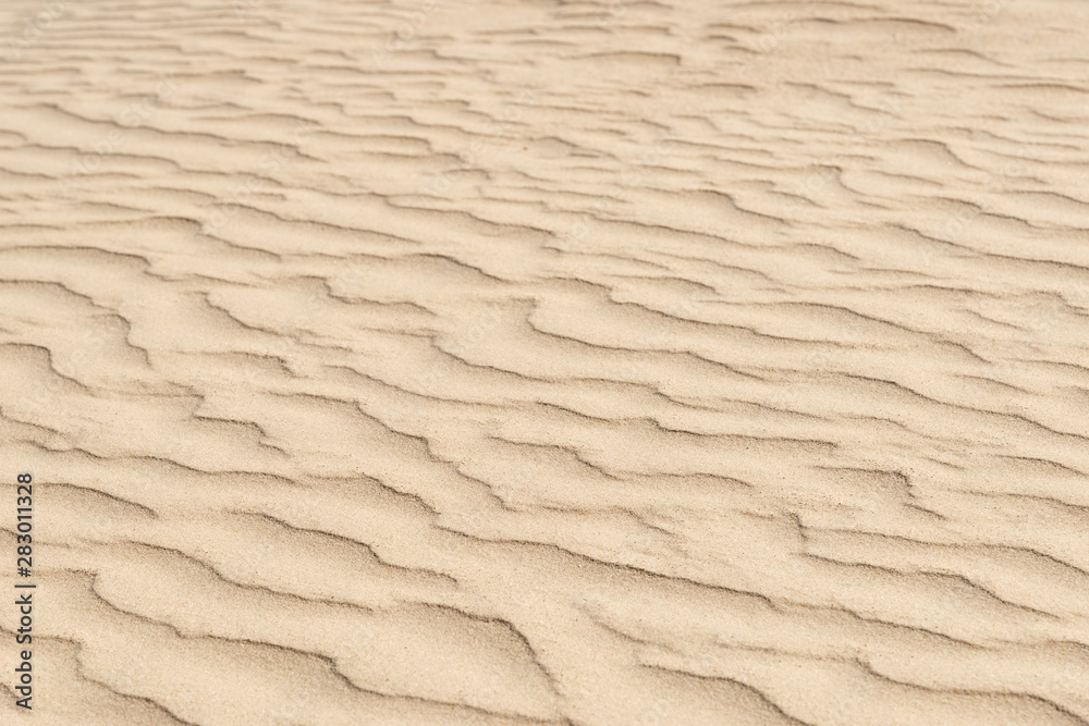 nature backround of smooth sand wave texture nature backround of smooth sand wave texture