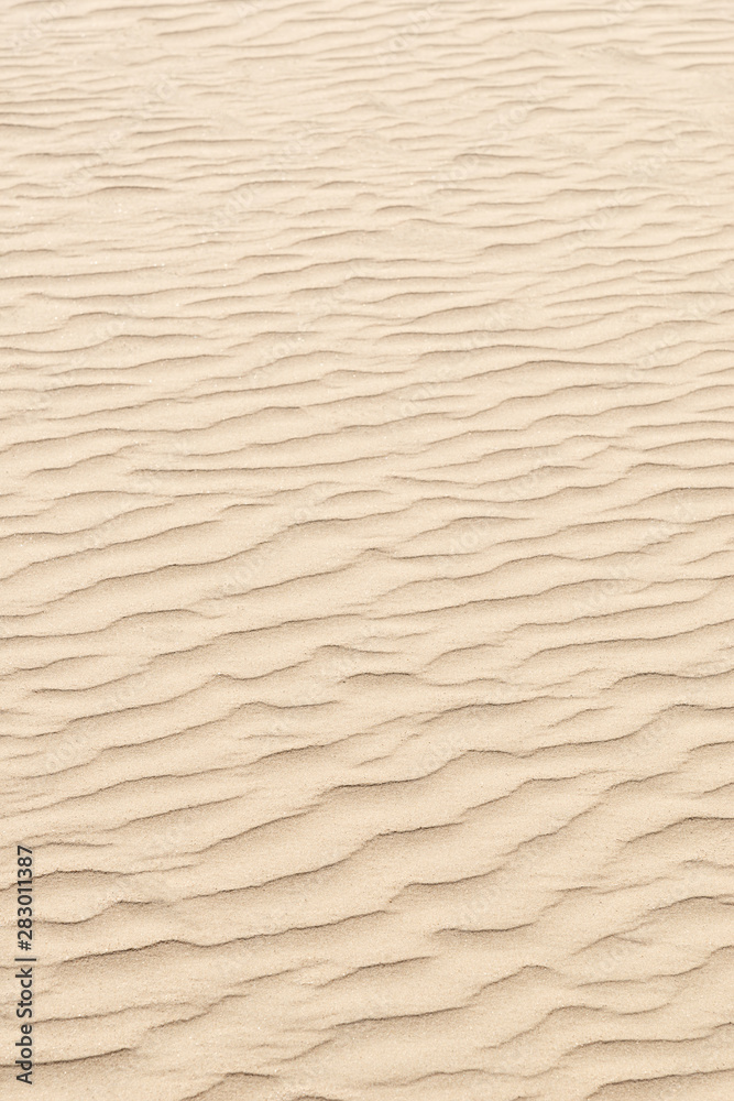 nature backround of smooth sand wave texture nature backround of smooth sand wave texture