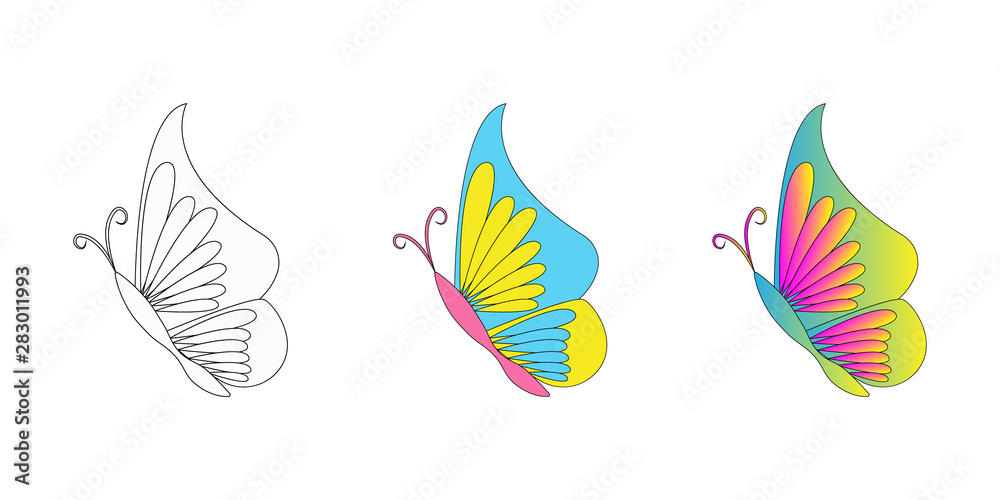 Beautiful Butterfly. Set Vector. Butterfly isolated on white background. Butterfly - vector icon. Butterfly design.