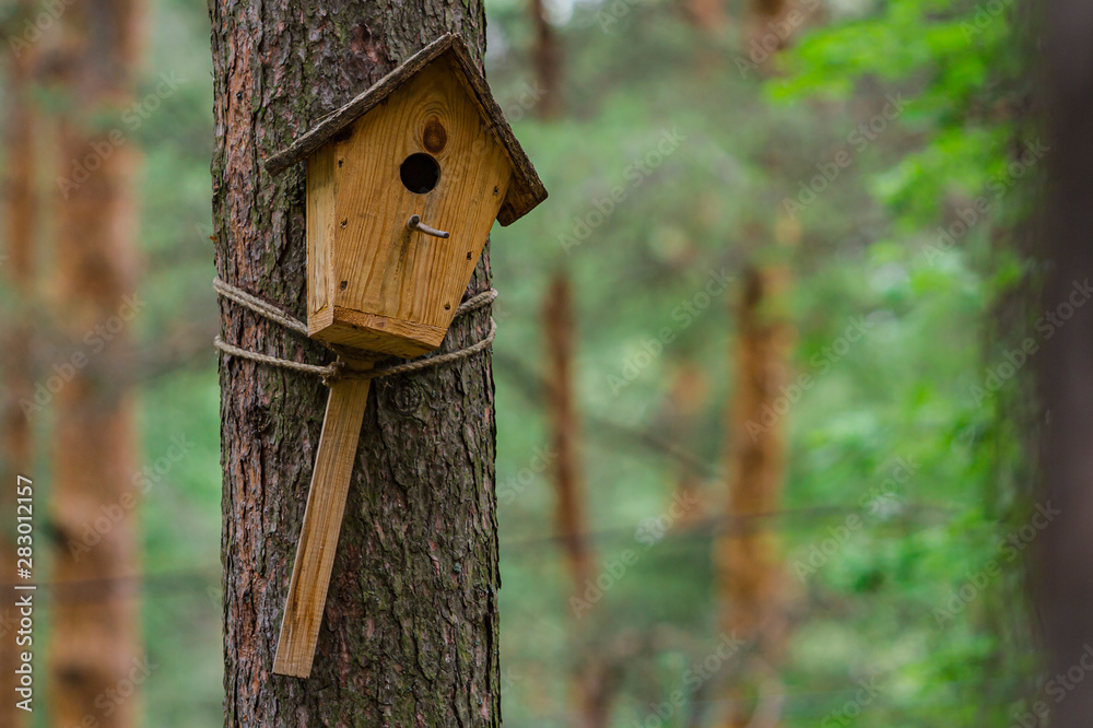 Birdhouse on the pine. House for birds close-up. Birdhouse on the pine. House for birds close-up.